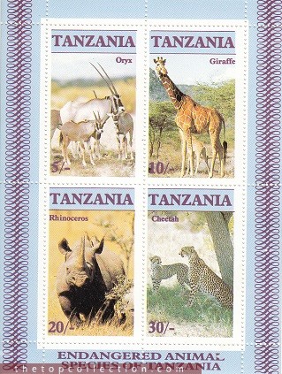 شیت حیات وحش تانزانیا
