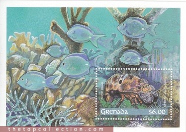 شیت خرچنگ دریائی چاپ گرانادا 