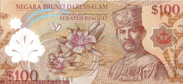 100 دلار برونئی 