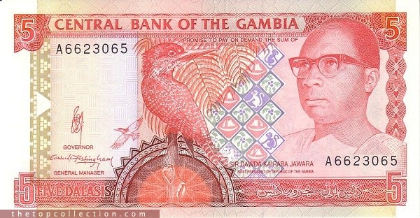 5 دالاسی گامبیا
