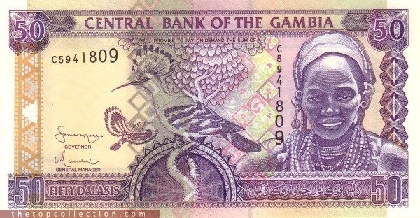 50دالاس گامبیا