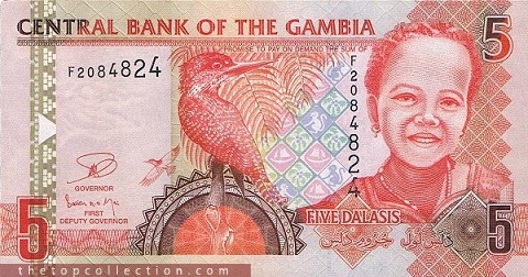 5 دالاسی گامبیا
