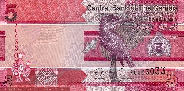 5 دالاسی گامبیا