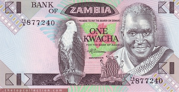 1 کواچا زامبیا