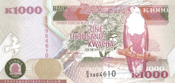 1000 کواچا زامبیا (سری کاغذی )