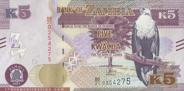 5 کواچا زامبیا چاپ 2021