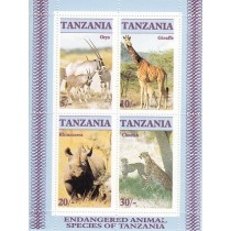 شیت حیات وحش تانزانیا