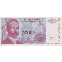 5000 دینار بوسنی و هرزگوین