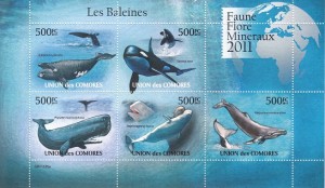 شیت زیبای نهنگ ها چاپ کومور