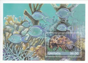 شیت خرچنگ دریائی چاپ گرانادا 