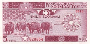 5 شیلین سومالی 
